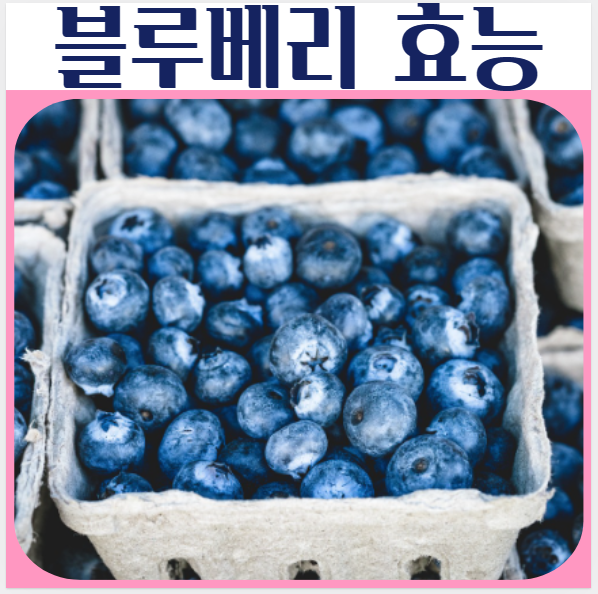  블루베리 효능 장점 다이어트 노화방지 등
