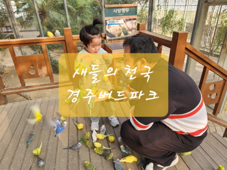  [경주아이랑]6세아들과 체험 하기 좋은 경주버드파크 방문기