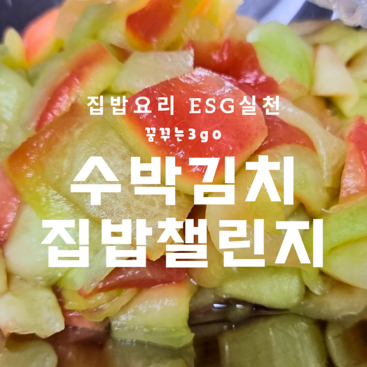  노각보다 맛난 수박김치 집밥 챌린지