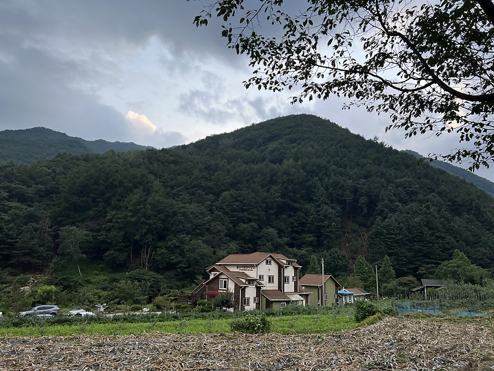 물소리펜션 사진 1