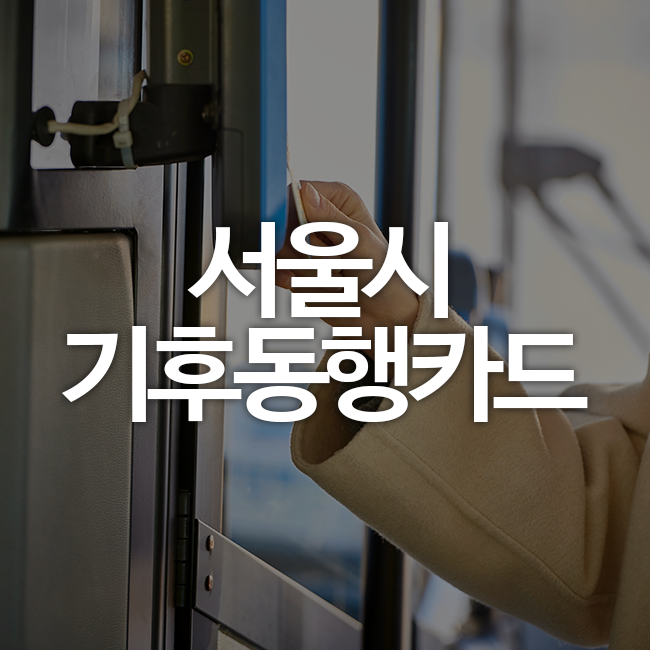 한달 6만 5천원으로 <b>대중교통</b> 무제한! 서울시 <b>기후동행카드</b>