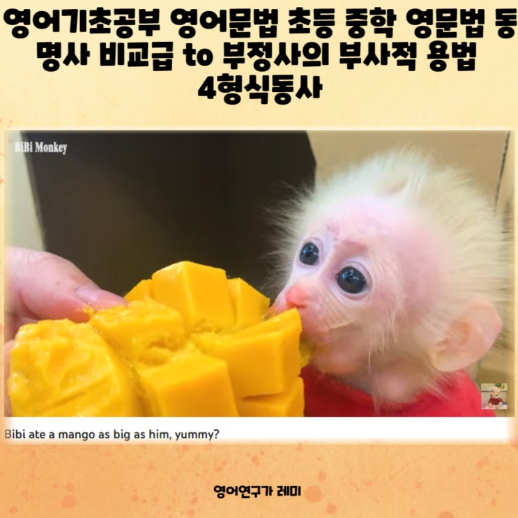 영어기초공부 영어문법 초등 중학 영문법 동명사 비교급 to 부정사의 부사적 용법 4형식동사 영어기초공부 영어문법 초등 중학 영문법 동명사 비교급 to 부정사의 부사적 용법 4형식동사