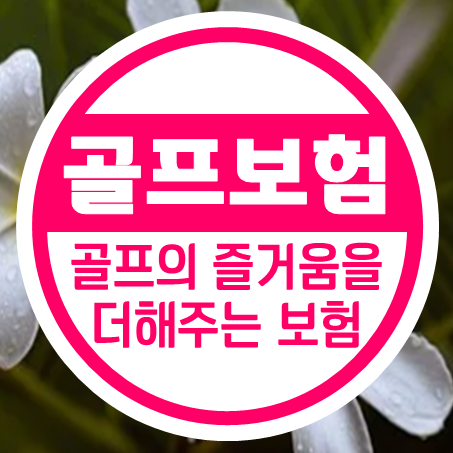  골프홀인원보험, 골프의 즐거움을 더해주는 보험