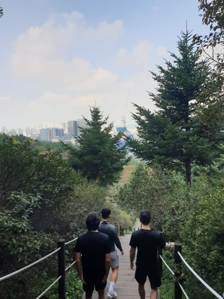  일상글 / 이모저모