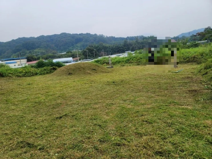  2023년 경상북도 김천시 대항면 덕천리 산소 1기 벌초 고인돌장의사 #선산벌초 #구미벌초 #황간벌초 #영동벌초 #성주벌초 #상주벌초 #문경벌초 #칠곡벌초 #벌초대행 #벌초