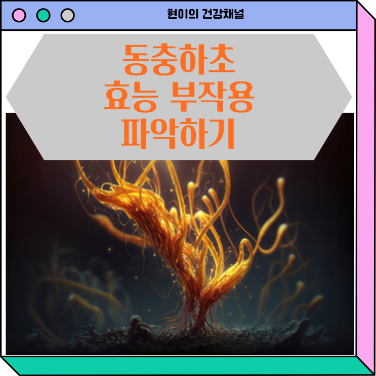  동충하초 효능 부작용 하루 섭취량 파악하기