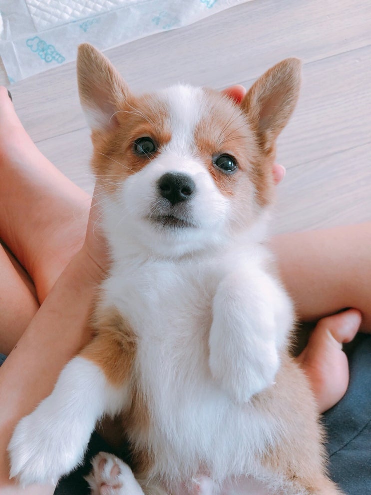  일등이