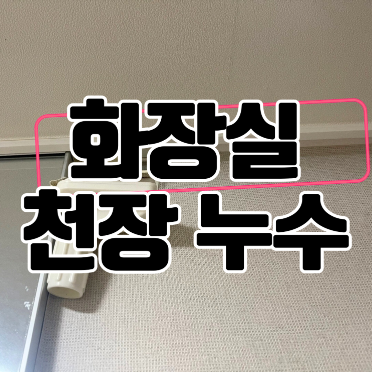  동탄 산척동 화장실 천장 누수-목욕하고 청소했더니만...