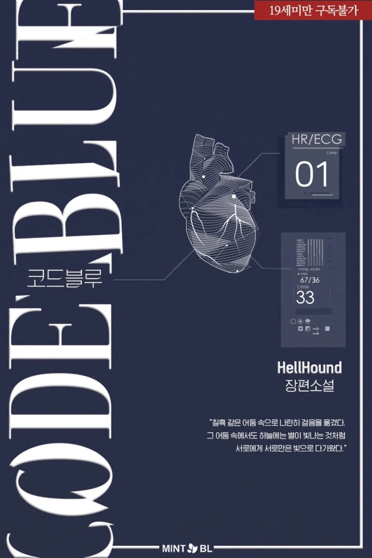 BL소설 리뷰) 강우림(HellHound)-코드 블루 (중도하차)