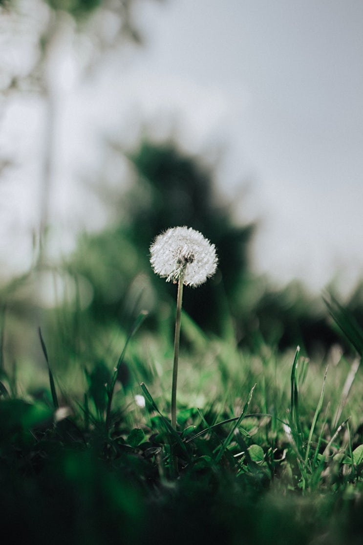  2023년 9월 13일 오늘의 말씀 & 찬양 (어둔날 다 지나고 주가 보이신 생명의 길)