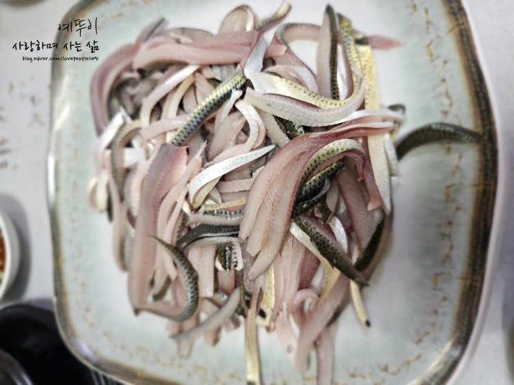  청주 가경동 서해 활어회에서 가을 전어회와 무침 우럭 매운탕 맛있게 먹은 후기