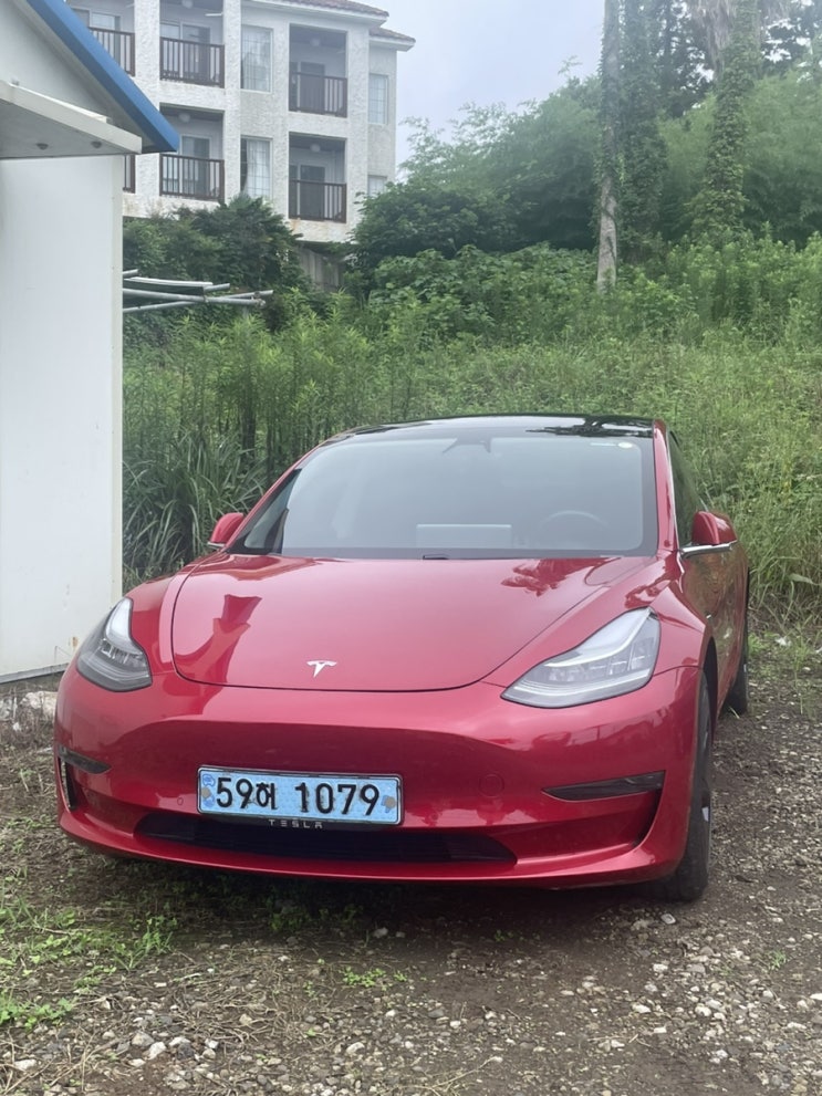  제주도 빌리카 테슬라 후기 및 장단점
