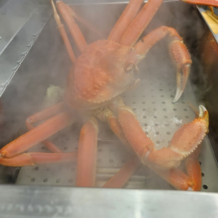  정동진 고기랑조개랑 대게 맛집을 방문해보자