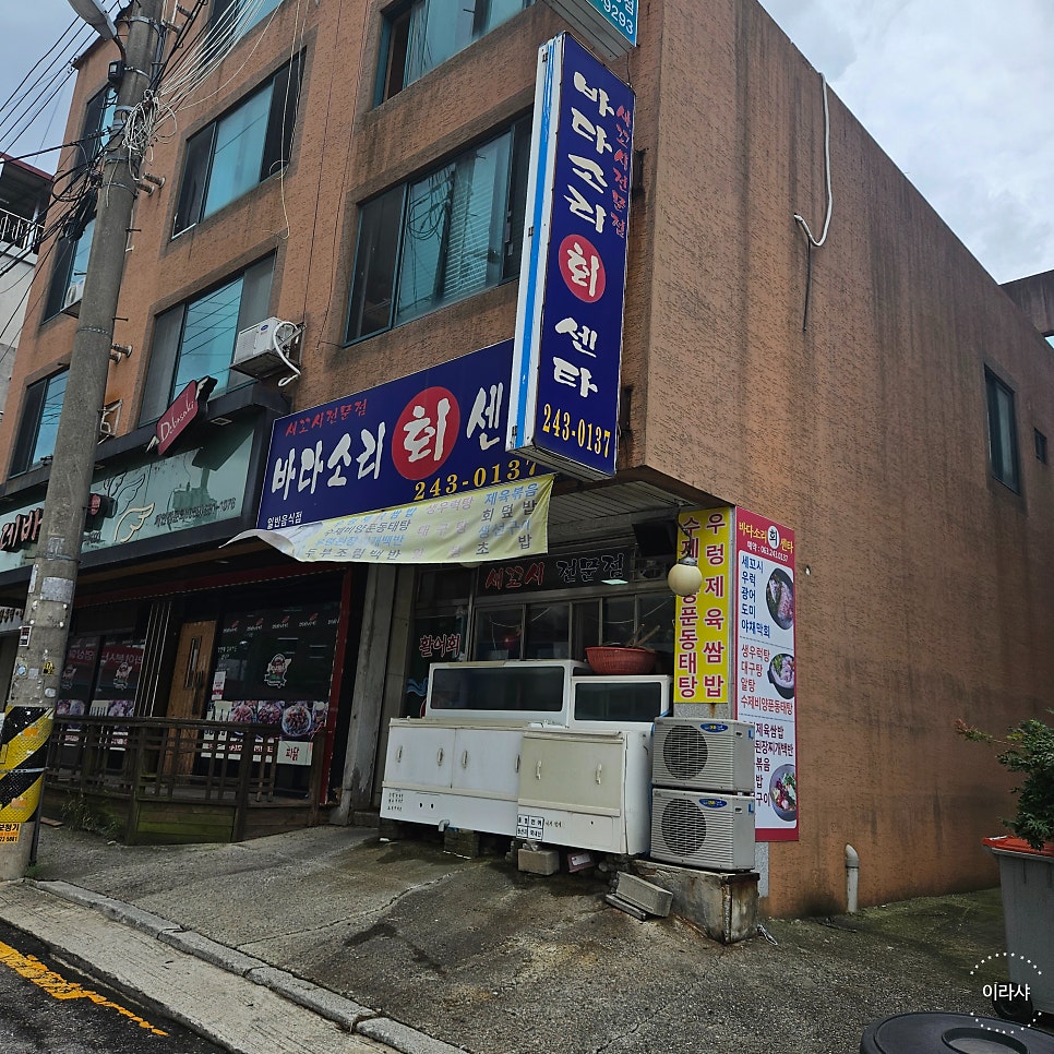 바다소리회센타 사진 2