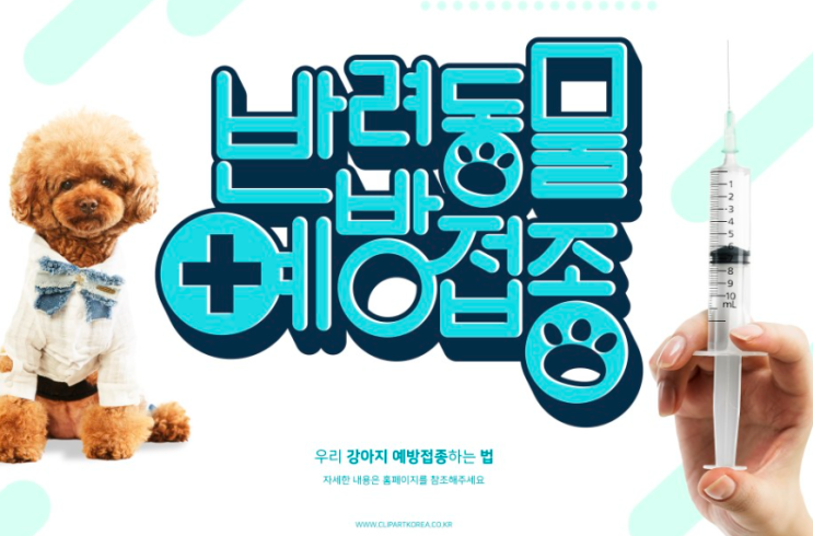  강아지 예방접종 종류와 시기 & 기생충 약 알아보기