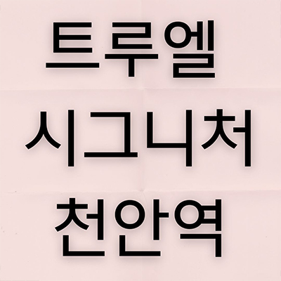 트루엘 시그니처 천안역 신규아파트 문화동 할인분양 주상복합 계약금 900만원 미분양 잔여세대 분양가 홍보관