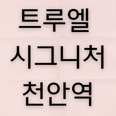  트루엘 시그니처 천안역 신규아파트 문화동 할인분양 주상복합 계약금 900만원 미분양 잔여세대 분양가 홍보관