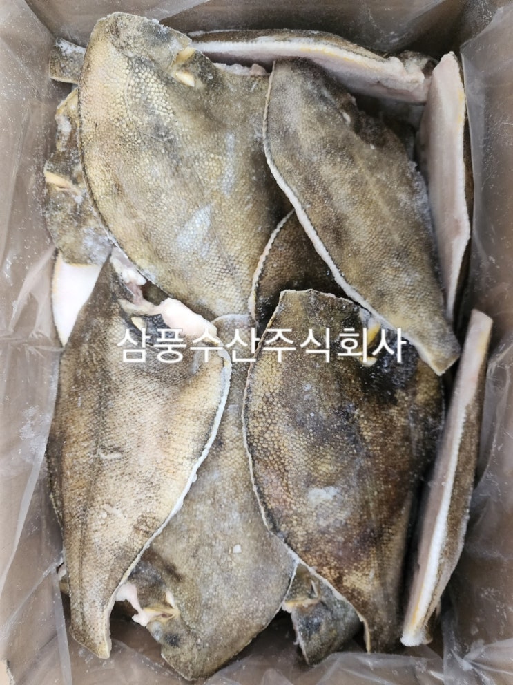  무라귀채,손질가자미 수산물 시황