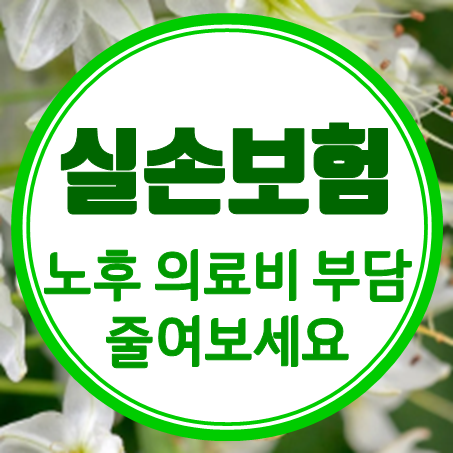  노후실손보험, 노인들의 의료비 부담을 줄여주는 보험 상품