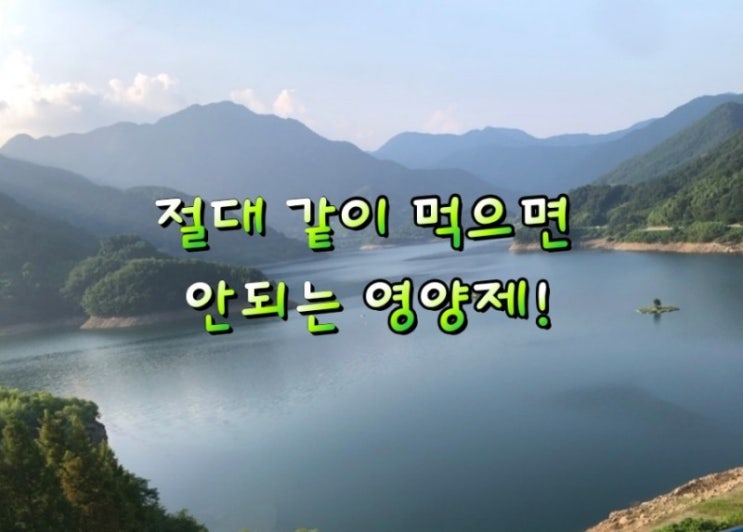절대 같이 먹으면 안되는 영양제! 절대 같이 먹으면 안되는 영양제!