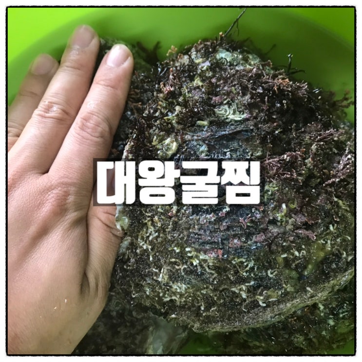 거제도 벚굴 굴찜 자연산 해녀채취 바위굴 대왕굴 석화찜 맛 후기