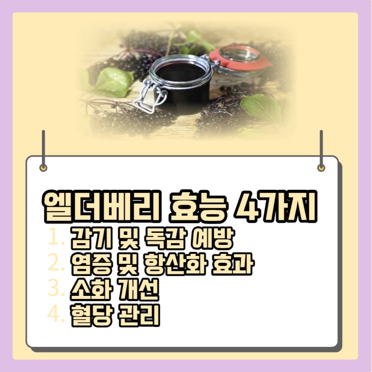  엘더베리 효능 4가지 및 부작용 3가지 상세 정리
