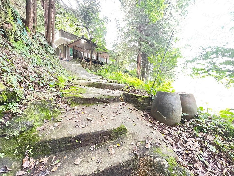 산닭농장 사진 6