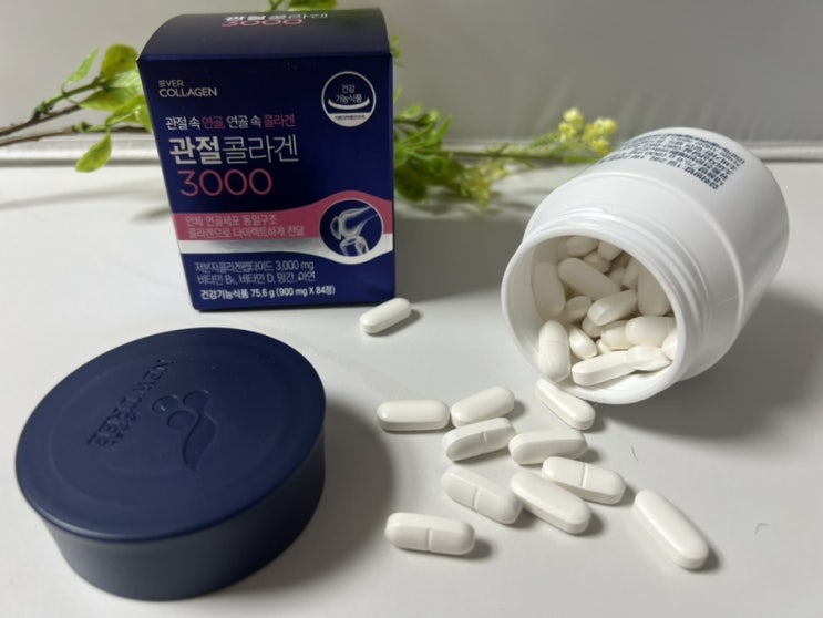  무릎 관절에 좋은 음식 무릎연골 건강기능식품 에버콜라겐 관절 콜라겐 3000