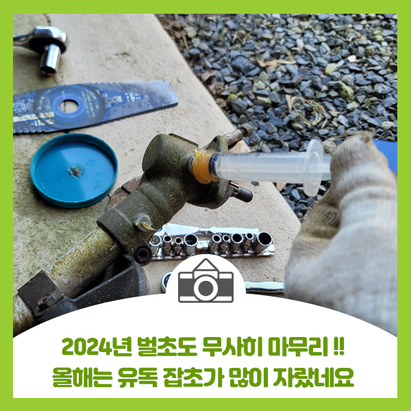  2023년 올해 벌초 추석 전 마무리 끝~!!!