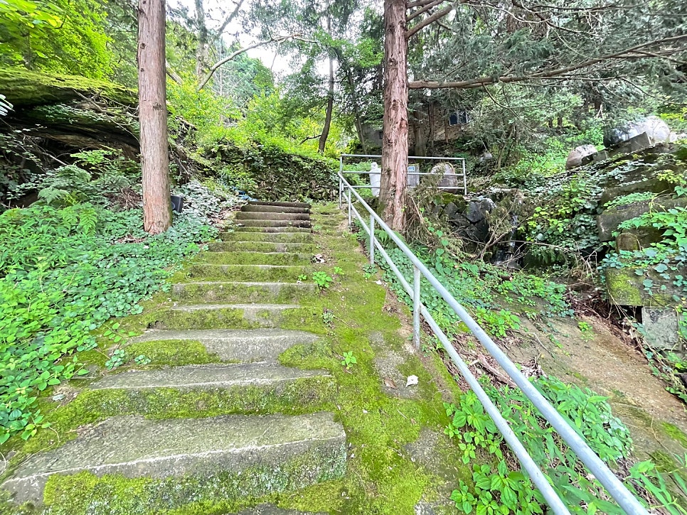 산닭농장 사진 1