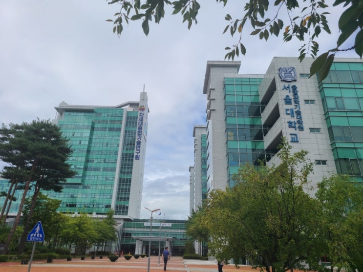  [번외편] 뜬금없는 교육과 뜬금없는 생각