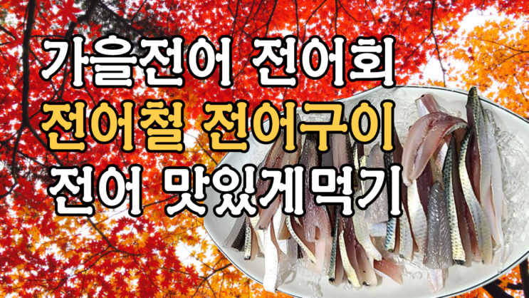  가을전어 전어철 전어회 전어구이 맛있게굽기