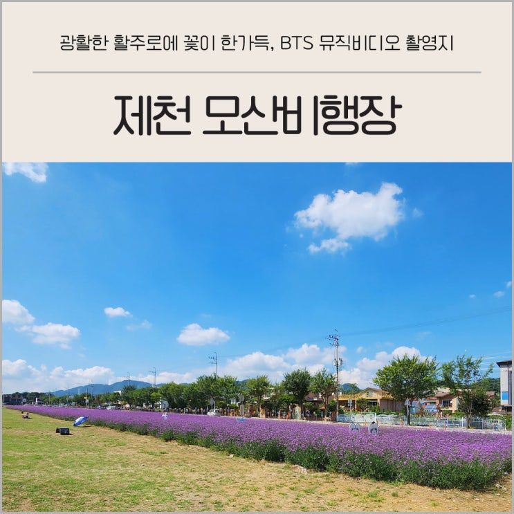 충북 제천 가볼 만한 곳 BTS 뮤비 촬영지 모산비행장 9월 꽃구경 부모님 아이와 갈만한 곳