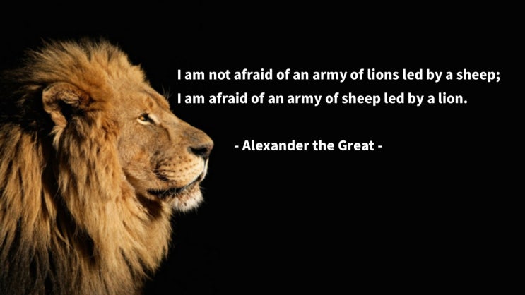 영어 인생명언&명대사: 용맹한, 지도자, 리더, 군대, 사자, lion, leader, army: 알렉산더 대왕/Alexander -Quotes & Proverb