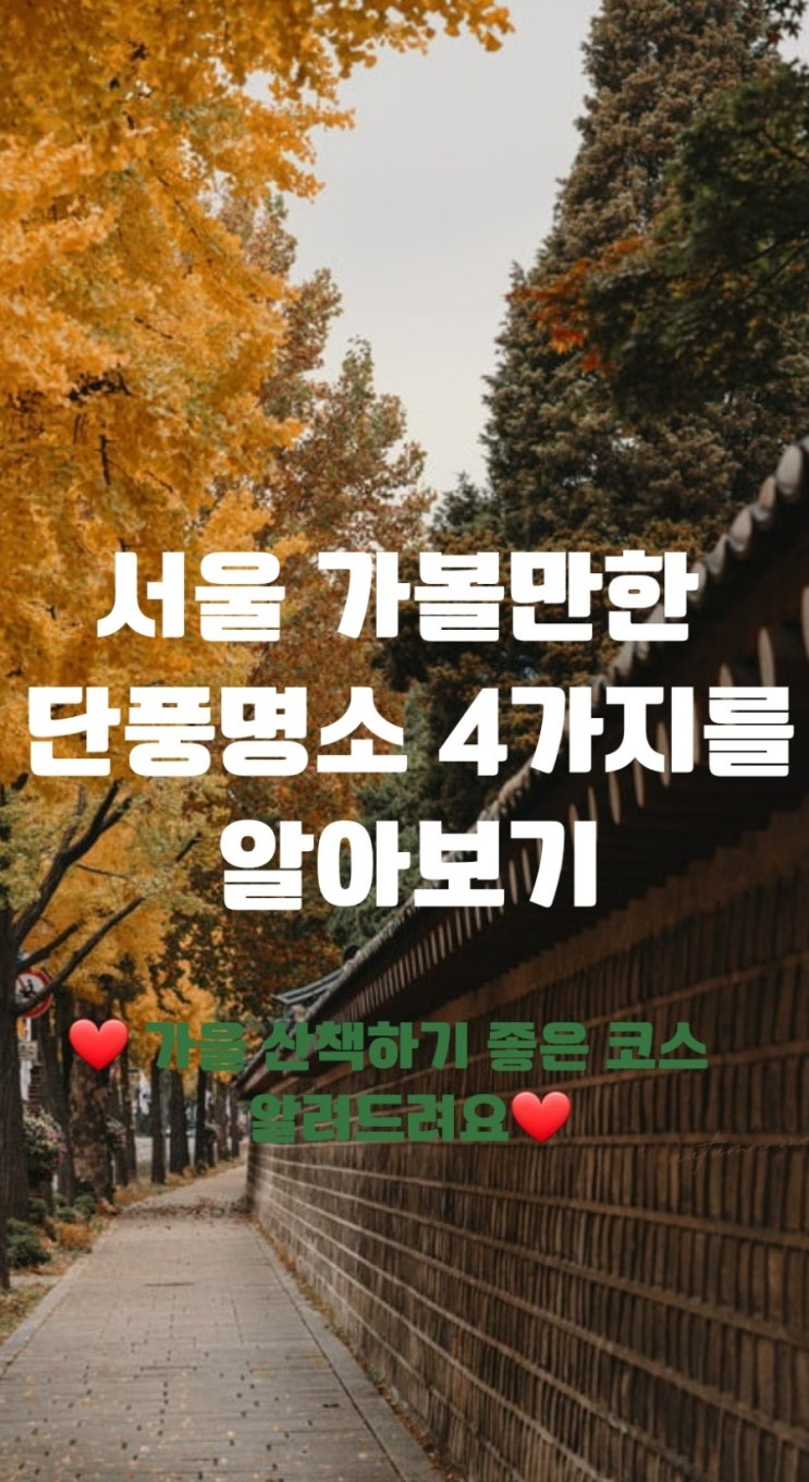  서울 단풍명소 4가지 산책 가볼 만한 곳 알아보자