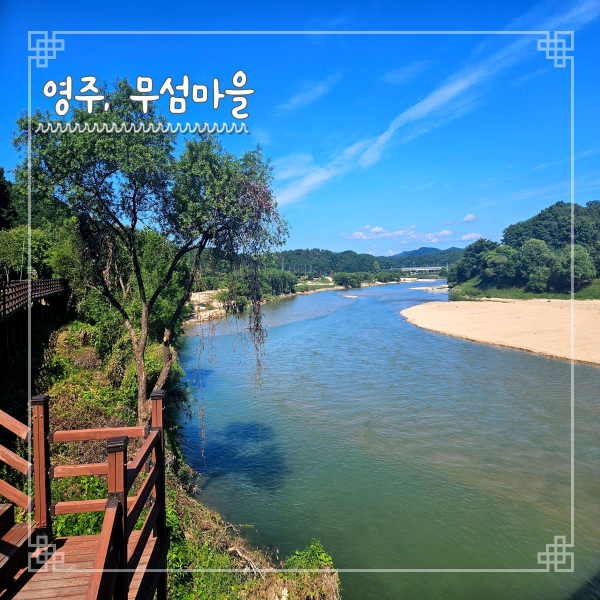  무섬마을 외나무다리 영주 가볼만한 곳 가는 법 주차 정보