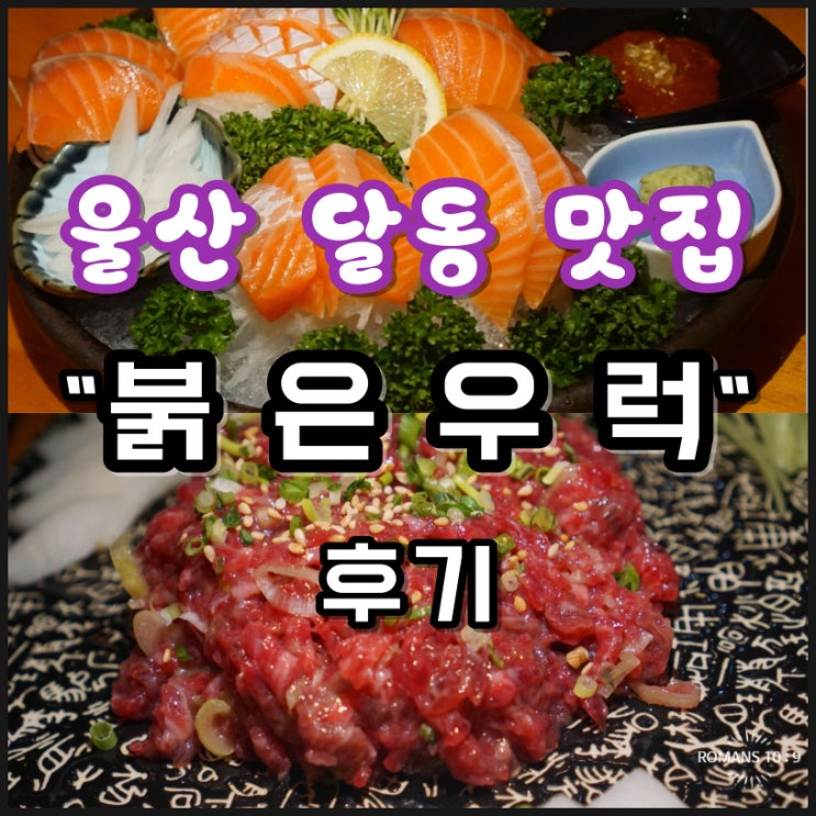  붉은 우럭 울산 사시미 달동 맛집 분위기 좋은 횟집 후기