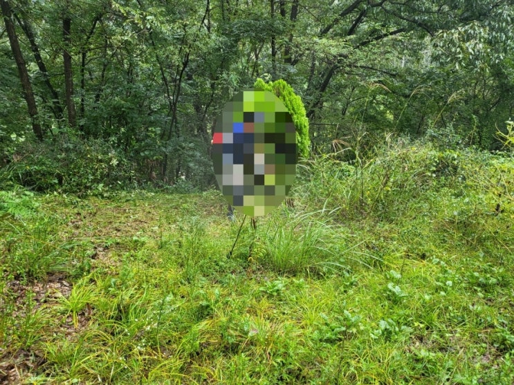  2023년 경상북도 김천시 구성면 미평리 산소 1기 벌초 고인돌장의사 선산 구미 황간 영동 성주 상주 문경 칠곡