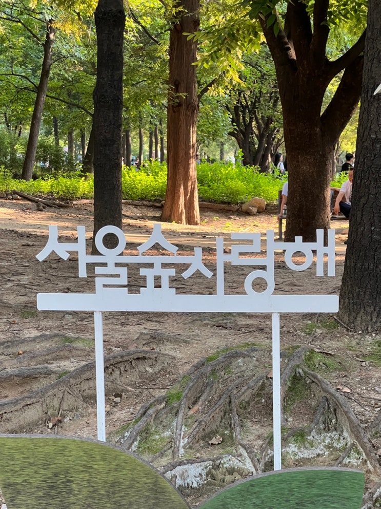 서울숲 나비정원, 곤충식물원, 가을단풍길, 꽃사슴방사장 그리고 호수가 있는 도시숲에서 힐링하세요!