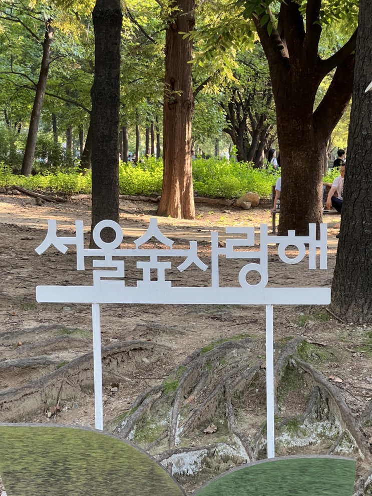  서울숲 나비정원, 곤충식물원, 가을단풍길, 꽃사슴방사장 그리고 호수가 있는 도시숲에서 힐링하세요!