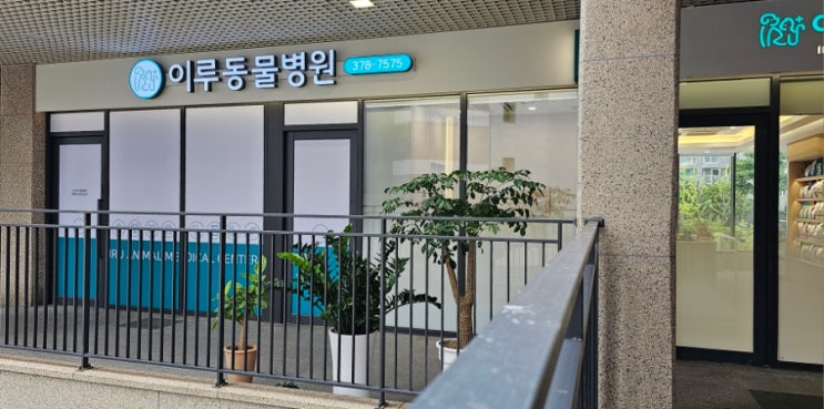  동탄 동물병원 강아지 스케일링