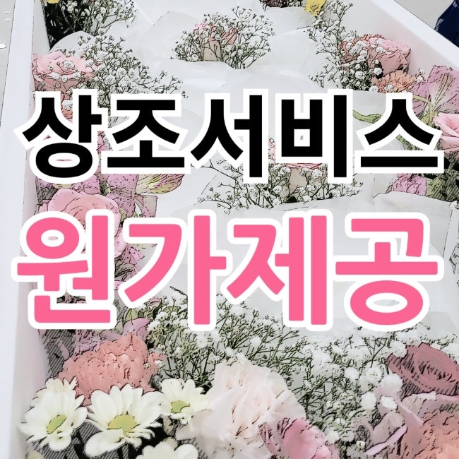  후불제상조 장례비용 팍팍 줄이는 방법