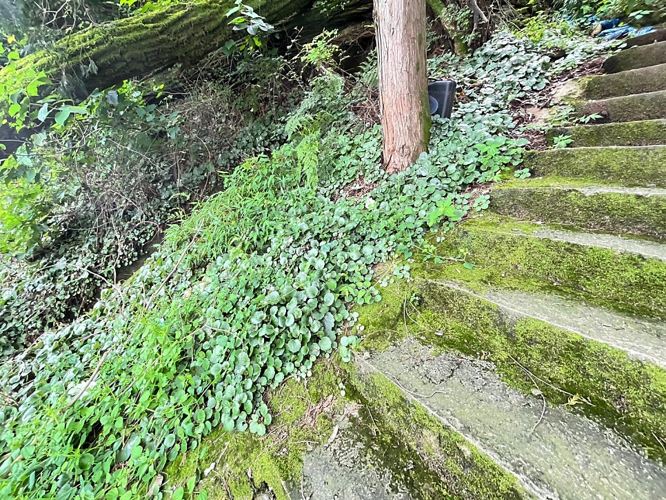 산닭농장 사진 2