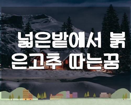 넓은밭에서 붉은고추 따는꿈,해몽모음