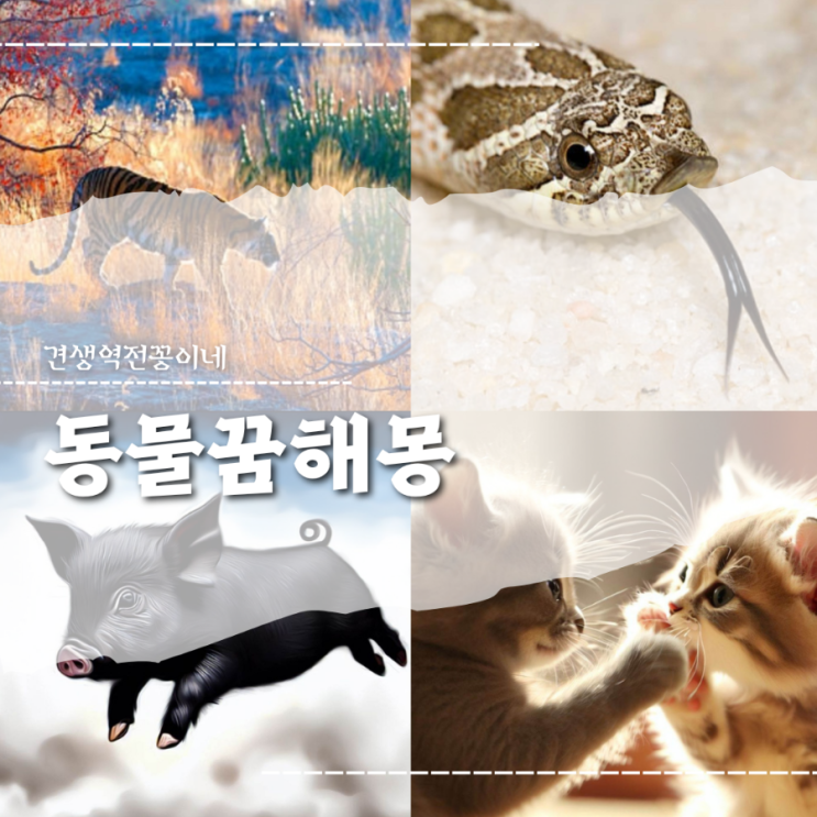  동물 나오는 꿈 다양한 동물 꿈 해몽