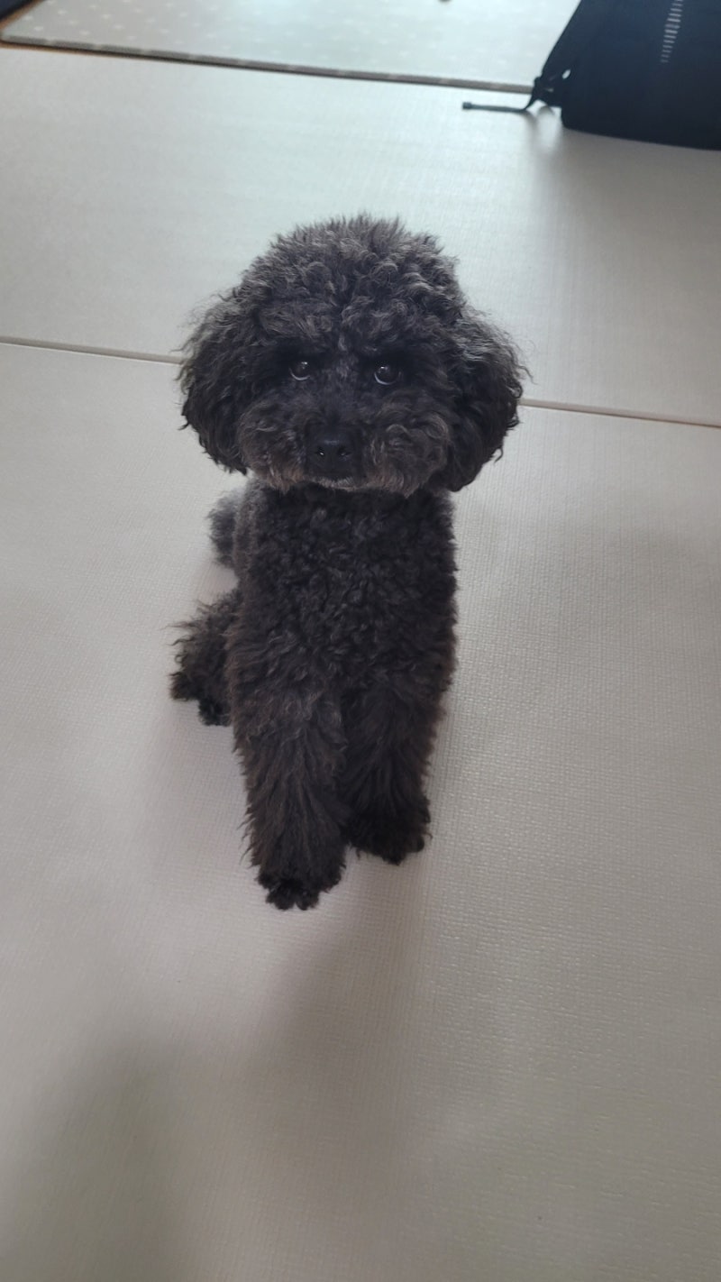 사진 6