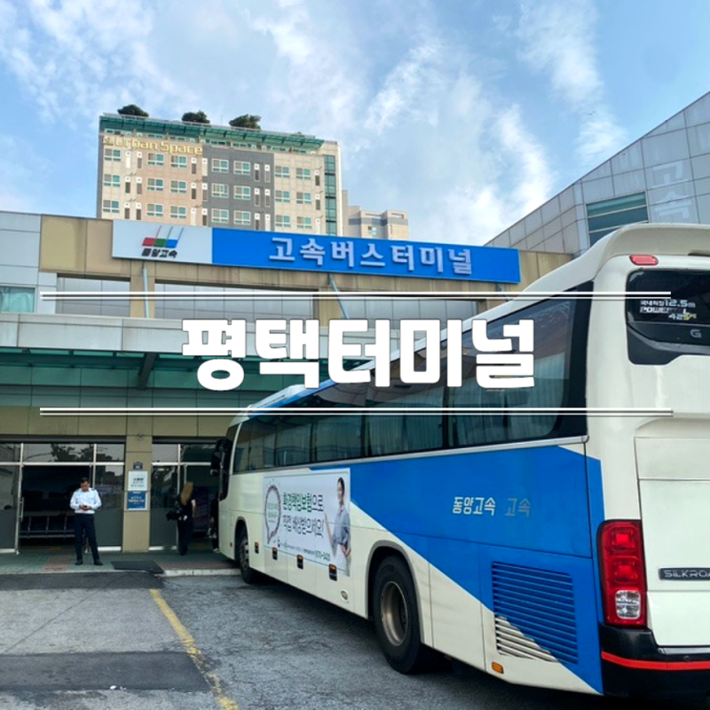 평택터미널 시간표 고속버스 시외버스 주차장 가격 예매 식당 카페 맛집 타는곳