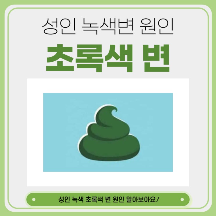  성인 녹색 변 원인 초록색 변 녹변 이유 알아보아요.