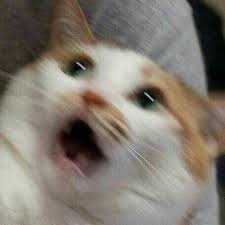  [카페프렙 1] 카페를 운영하라고...?