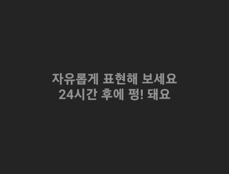  카카오톡 펑 24시간 뒤 사라지는 스토리 기능 업데이트